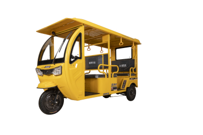 Tourism Sightseeing Car