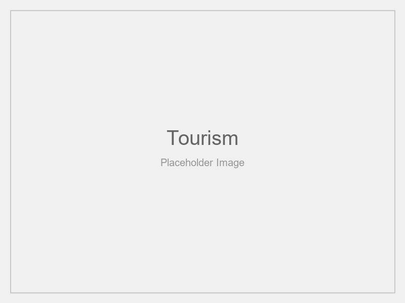 Tourism Sightseeing Car